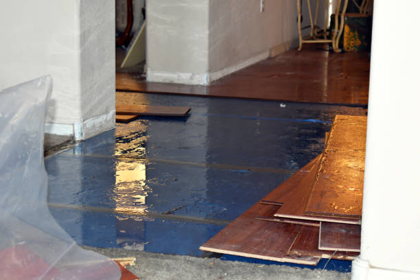 Professional Basement Water Removal technician working in Hampstead, NC